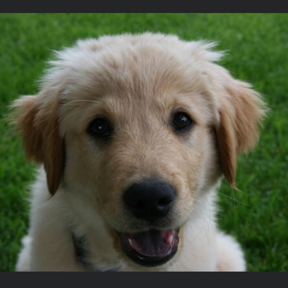 ☮️🐾❤️ Hi! I’m Barb. ❤️🐾☮️ - Picture 5 of 7